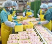 Беларусь сняла временные ограничения на поставку мяса птицы из ряда провинций Нидерландов