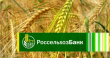 Россельхозбанк представил прогноз развития отрасли на конференции «Свиноводство – 2019»