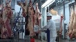 Россия запретила ввозить финскую мясную продукцию Snellman