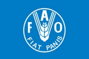 FAO: мировые цены на еду выросли в апреле FAO: мировые цены на еду выросли в апреле