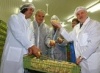 Лисовский и куры