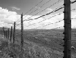 Владислав Шичанин: Нет ни лечения, ни вакцинации
