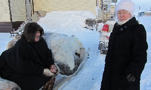 В селе Ныда готовится к открытию новый убойный комплекс