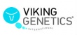 Датские зоотехники из VikingGenetics скрестили скандинавских быков с тайскими телочками