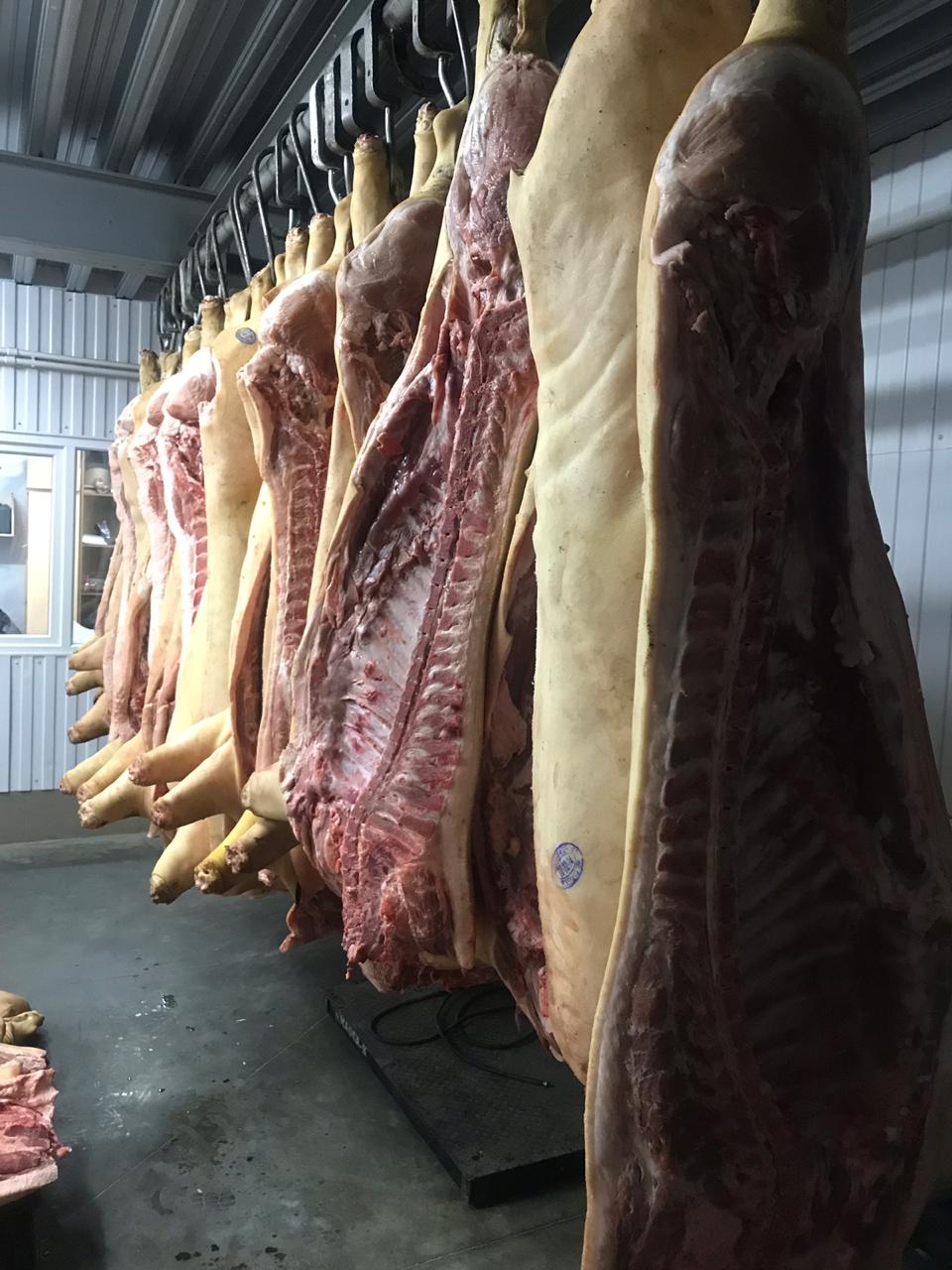Мясо свинина РФ