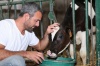 Семейные животноводческие фермы получат более 50 млн рублей