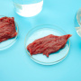 Биотехнологи удешевили производство искусственного мяса из культур клеток