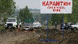 Вынужденную вакцинацию против сибирской язвы проведут в Алма-Атинской области Казахстана