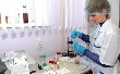 Изготовленную в Татарстане халяль-продукцию проверили на наличие свинины