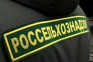 Россельхознадзор обратился к силовикам после выявления контрабанды мяса в Калининграде