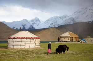 В Кыргызстане заработают подкомитеты по охране здоровья скота