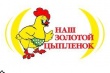 В мясе «Уральского бройлера» обнаружена сальмонелла