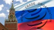 Источник: Россия не будет приостанавливать членство в ВТО