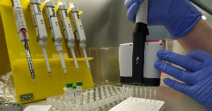 В Татарстане началось генотипирование крупного рогатого скота