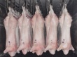 Почти двадцать попыток ввоза в РФ свинины в обход запрета ЕС пресечены под Калининградом