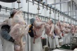 "Дамате" увеличит объем производства индейки и заместит часть импортного мяса