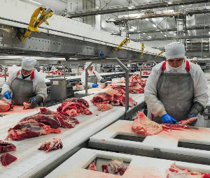 Производство рыбы, мяса и муки в Брянской области увеличилось