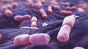 Обзор новостей и событий мясопереработки и животноводства за 31-ю неделю (27 – 31 июля 2020 г.)
