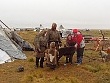 Представитель губернатора в Ямальском районе посетила стойбища оленеводов Представитель губернатора в Ямальском районе посетила стойбища оленеводов