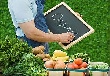 Фермеры образовали органическое соединение. Продвижением экологичных продуктов займется новый союз