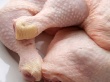 В Узбекистане заподозрили наличие трансгенов в курином мясе