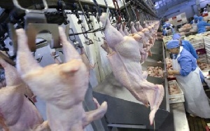 С начала года российские сельхозпредприятия увеличили выпуск мяса птицы на 6,8%