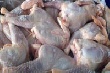 На Кубани планируют увеличить производство птицеводческой продукции на 5%