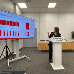 Импорт мясной продукции сократился на 21% в первом полугодии