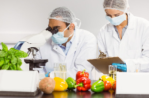 Ученые РФ получили 300 млн руб. на создание безопасных пищевых производств