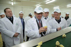 Министр сельского хозяйства РФ открыл убойно-перерабатывающий комплекс Кунашакской птицефабрики 