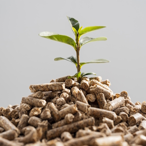 Группа «Черкизово» увеличила выпуск комбикормов до 3,1 млн тонн