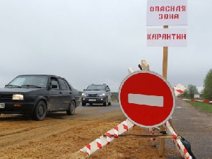 Карантин по бешенству введен в двух районах Ростовской области