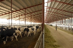 Татарстан: На развитие семейных ферм в 2014 году из бюджета РТ выделено грантов на сумму 89,6 млн. рублей