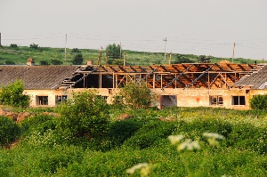 В Оренбуржье 50 сельхозпредприятий признаны банкротами