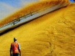 Министерство сельского хозяйства понизило прогноз урожая зерна на 2012 г. до 80–85 млн т 