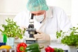 Алтайские ученые создали портативный ГМО-тестер