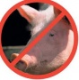 Китай запретил импорт свинины из США