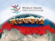 Россия встала к всемирному прилавку