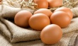 ФАС проводит тотальную проверку цен на рынке яиц