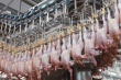Собственное производство мяса птицы в Башкирии превысит необходимые нормы на душу населения