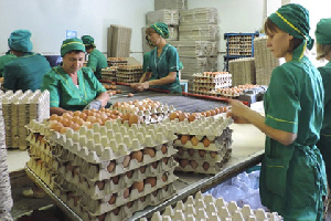 Ростовская фабрика займется повышением производительности труда