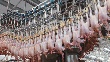 РФ может в 2012 г снизить импорт мяса птицы на 17% - до 400 тыс тонн