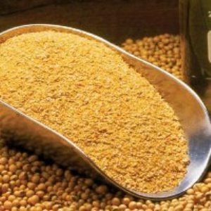 У мяса проблемы с кормами - соевый шрот резко вырос в цене У мяса проблемы с кормами - соевый шрот резко вырос в цене