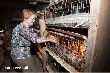 Кубанцы узнали, как нужно работать во Франции Кубанцы узнали, как нужно работать во Франции