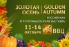 На выставке "Золотая осень" Калмыкию представляют ведущие племенные хозяйства
