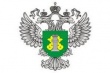  Россельхознадзор указал администрации Кубани на недостаточность мер противодействия АЧС