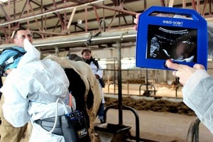 Современный аппарат УЗИ поможет следить за сахалинскими коровами