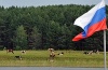 Стейк малой кровью. Проект по производству мраморной говядины в Татарстане попал в зависимость от государства
