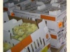 В Тюмень прилетели порядка 35 тысяч цыплят из Германии