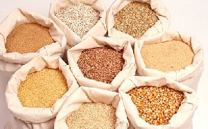 СовЭкон: большинство зерновых постепенно дешевеет, кукуруза продолжает активно дорожать